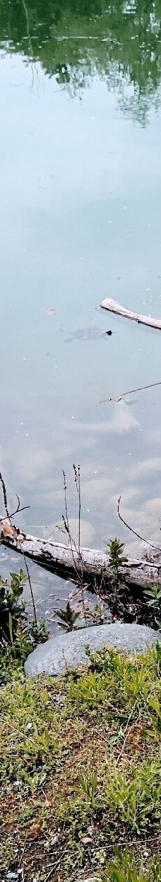 Parco della Pellerina-都灵