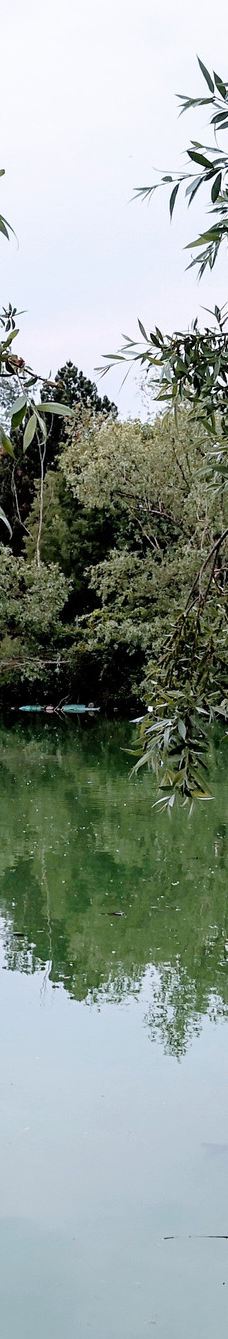 Parco della Pellerina-都灵