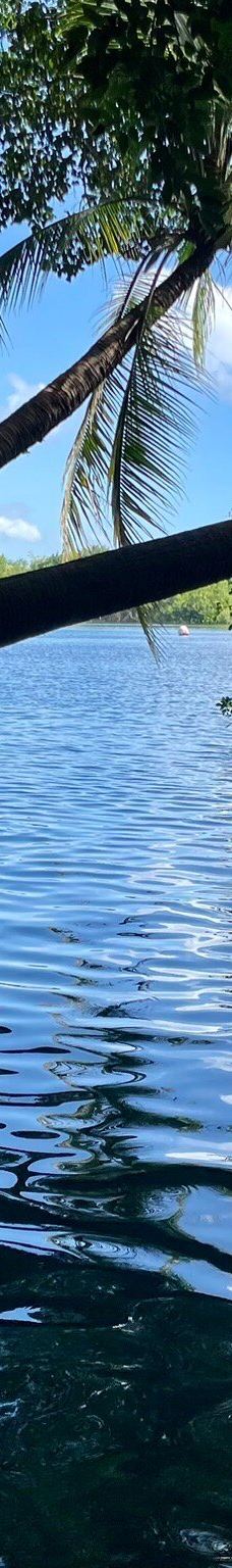 Cenote Azul-索里达瑞达德