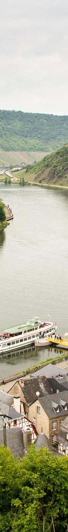 Metternich Castle-拜尔施泰因