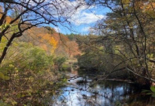 Mashpee River Reservation景点图片