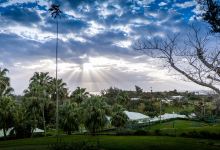 St. Mark's Church景点图片