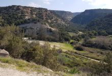 Avakas Gorge Nature Trail景点图片
