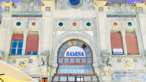 Balena