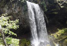 Grotto Falls景点图片