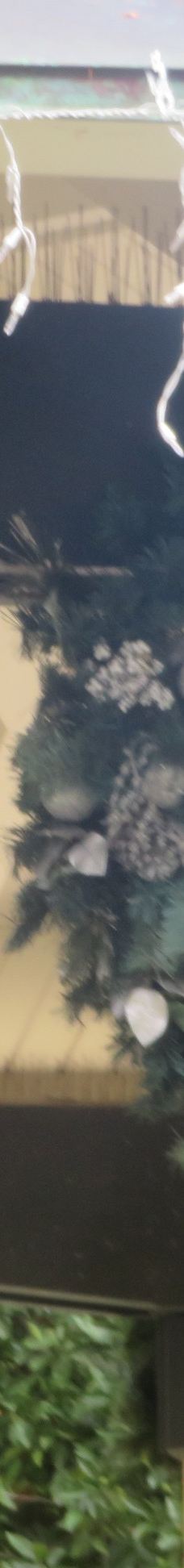 Healdsburg Plaza-希尔兹堡