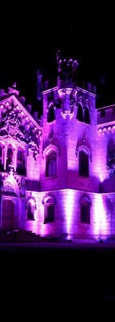 Sturdza Palace-Alexandru I. Cuza