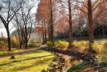 Shiki no Sato Park景点图片