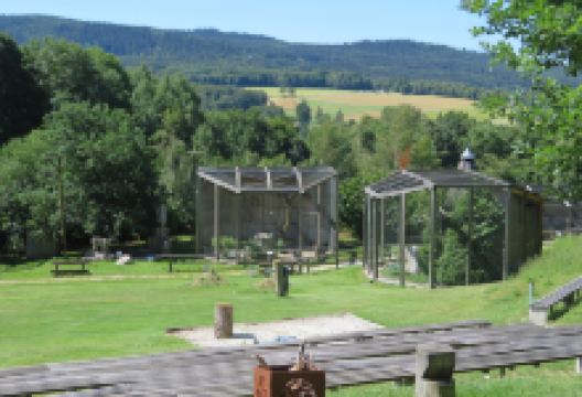 Falknerei Greifvogelpark景点图片