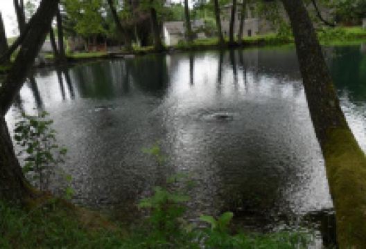 Okonsk Springs景点图片