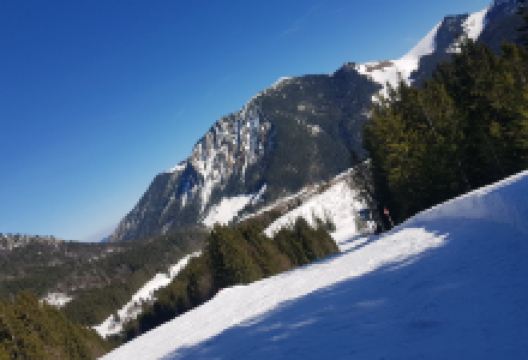 Ski Area - Alpenbahnen Spitzingsee景点图片