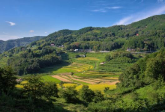 Kitasho no Tanada景点图片