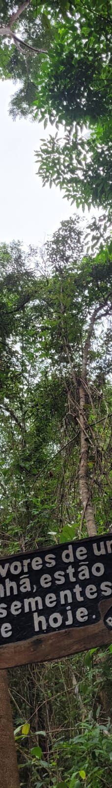 Parque Estadual Mata do Limoeiro-伊塔比拉