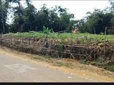 Pasir Ipis-阿尔科巴萨