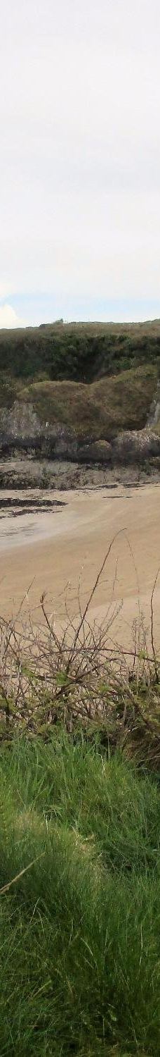 Baginbun Beach-韦斯福德