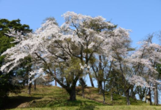 Raijin Yamakofun景点图片