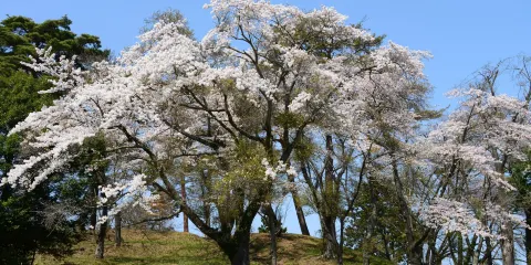 雷神山古墳