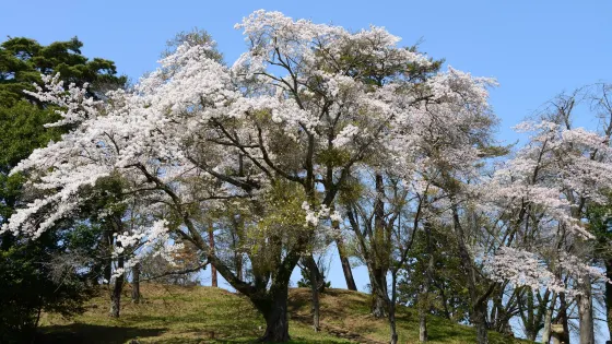 雷神山古墳