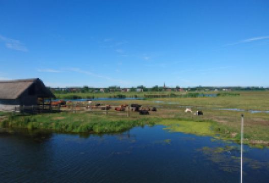 Karsiborska Kępa景点图片