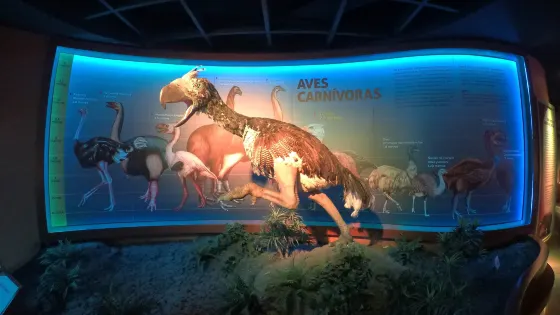 Museo de Historia Natural