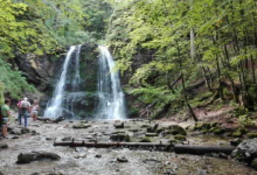 Josefsthaler Wasserfall景点图片