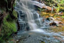Somersby Waterfalls and Picnic Area景点图片