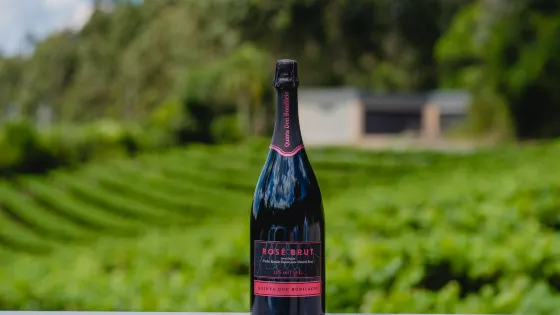Vinícola Quinta Don Bonifácio