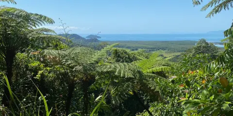 亞歷山德拉山觀景台