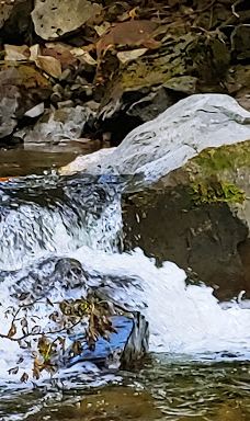 Chase Creek Falls-汤普森-尼古拉