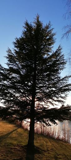 Lac de Creutzwald-柯哲斯瓦尔德拉克鲁瓦