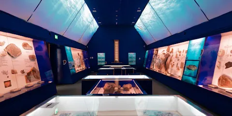 The Etches Collection Museum of Jurassic Marine Life