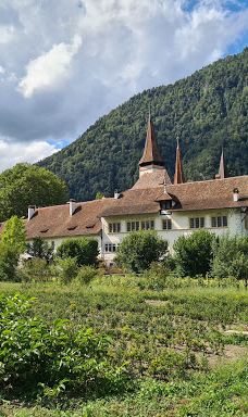 因特拉肯城堡-因特拉肯