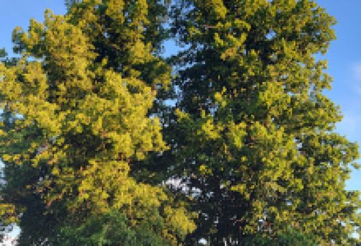 Russenkreuz景点图片