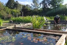 Vivero Acuático La Chacra de Jardines y Estanques购物图片