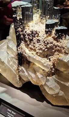 Schloss Freudenstein-弗莱贝格