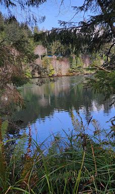 Alder Island Nature Trailhead-林肯县