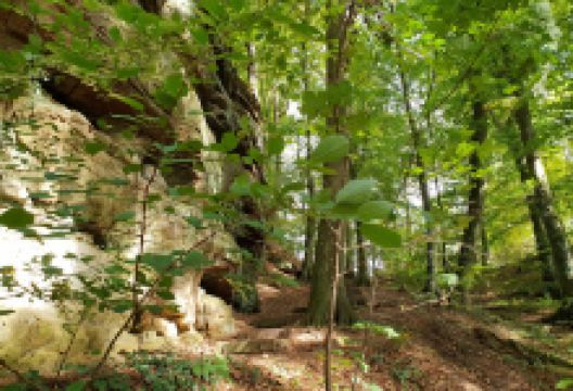 Tourentipp Auto-Pédestre Mullerthal-Consdorf景点图片