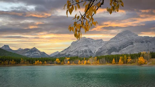 Wedge Pond