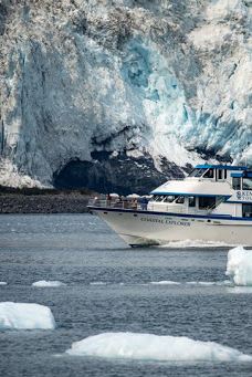 Kenai Fjords Tours-西沃德