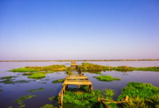 Korba Lake景点图片