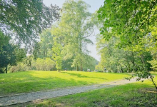 Parc Herman景点图片