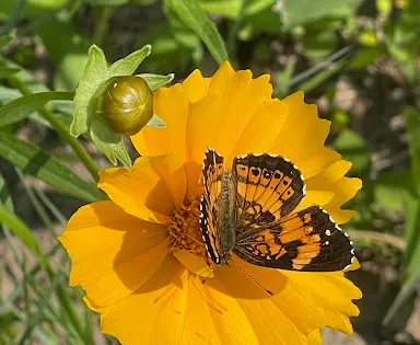Watershed Nature Center
