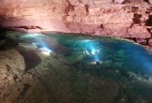 Accueil des grottes - Espace Poinsot景点图片