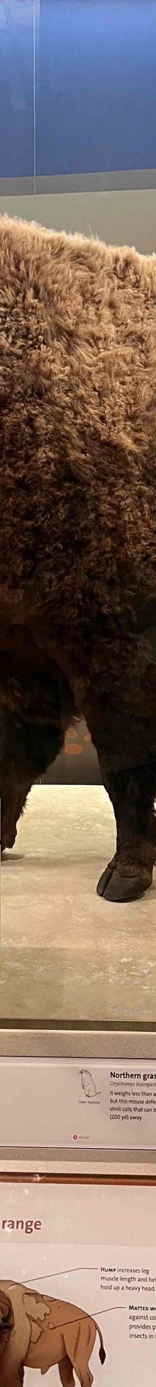 史密森博物馆-华盛顿-DCA