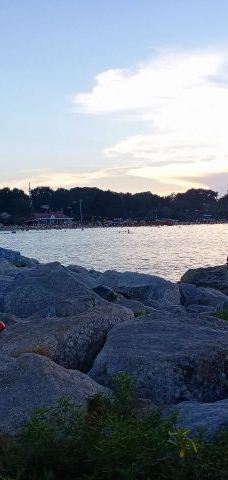 鸽子窝海鸥海滩-秦皇岛