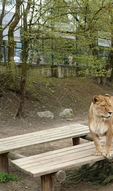 Zoo Kosice-科希策1区