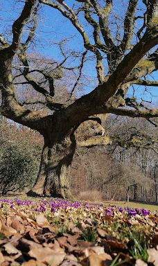 Mølleparken-奥尔堡