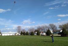 Little Trees Park景点图片