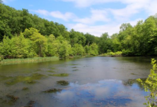 South Mountain Reservation景点图片