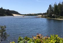 Jessie M. Honeyman Memorial State Park景点图片